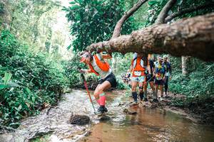 BIB: 
                            <button type="button" onclick="openModal(25374091)" class="btn btn-primary btn-sm float-right btn-popup" data-toggle="modal" data-target=".modal-high-quality">
                        <i class="fas fa-shopping-cart"></i> Add to Cart
                    </button>
                                            <button type="button" onclick="isThisMe(25374091, true)" class="btn btn-success btn-sm float-right btn-popup btn-isme hidden" data-toggle="tooltip" data-placement="bottom" title="นี่คือรูปของคุณใช่ไหม คลิกที่นี่เพื่อเอาเข้าอัลบั้ม">
                        <i class="fas fa-plus"></i> Add to album
                    </button>
                    <button type="button" onclick="isThisMe(25374091, false)" class="btn btn-warning btn-sm float-right btn-popup btn-isnotme hidden">
                        <i class="fas fa-ban"></i> Remove from album
                    </button>